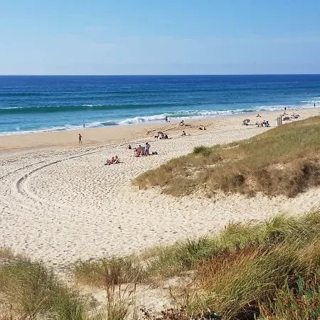 Les Dunes De Contis *** * Saint-Julien-en-Born